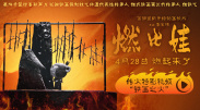 典型的护妻狂魔